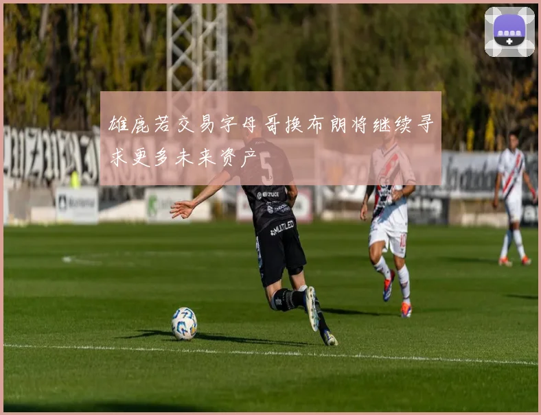 雄鹿若交易字母哥换布朗将继续寻求更多未来资产